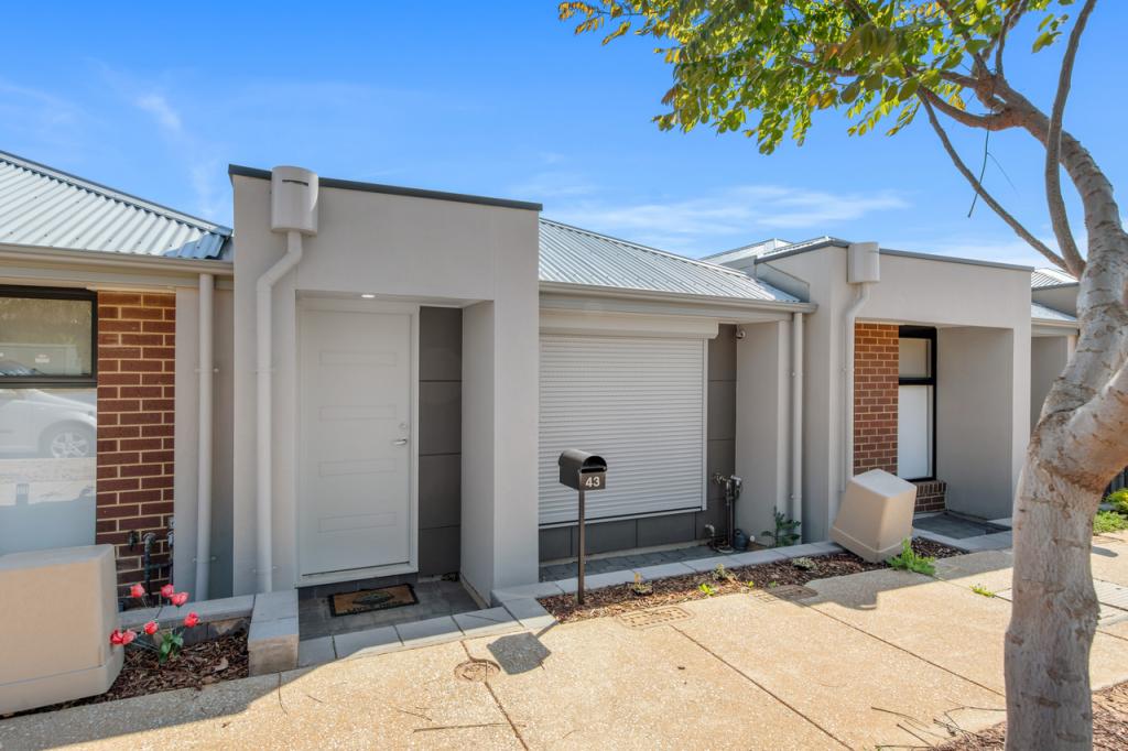 43 Pedlar Cl, Blakeview, SA 5114