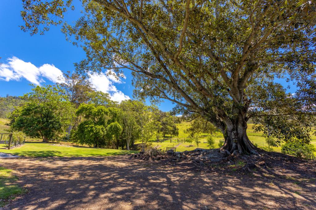 792 Mooral Creek Rd, Strathcedar, NSW 2429