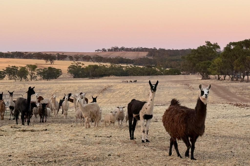 2130 Long Forrest Rd, Mumberkine, WA 6401