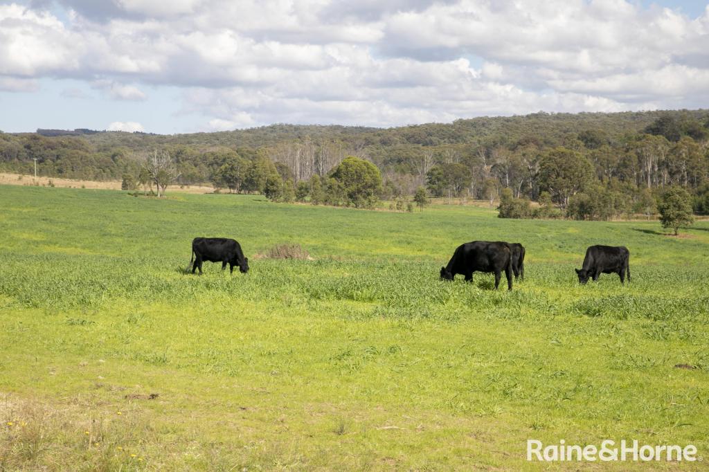 Lot 2, 2060 Brayton Rd, Big Hill, NSW 2579