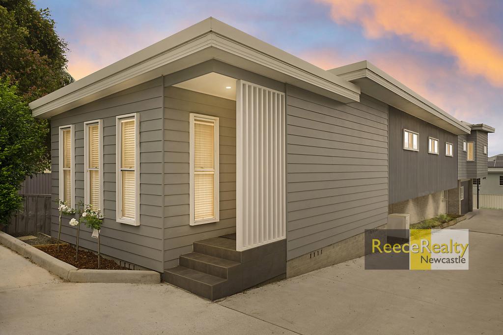 47 Lorna St, Waratah, NSW 2298