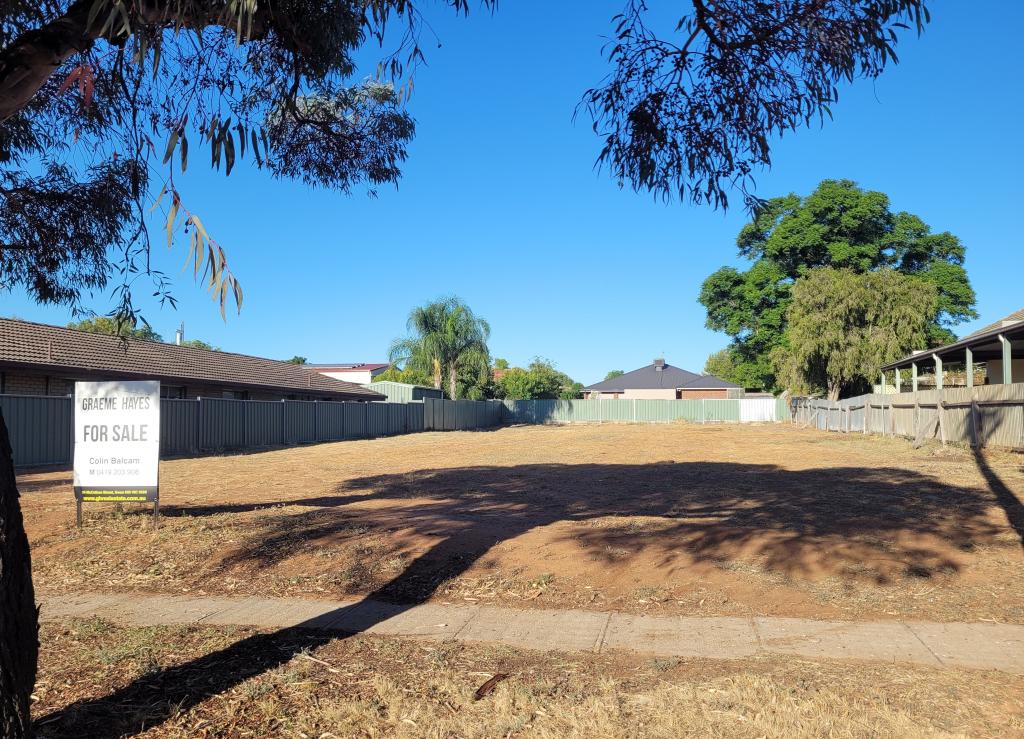 27 Gummow St, Swan Hill, VIC 3585