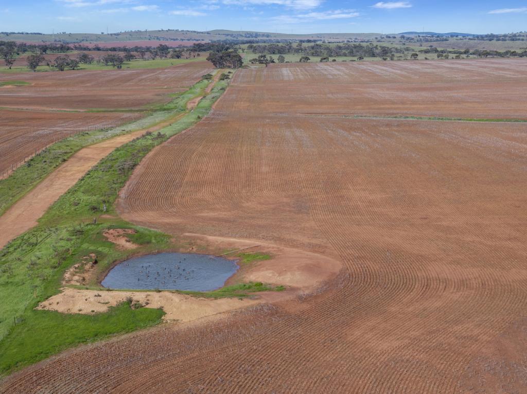 Lot 141 Eudunda Rd, Frankton, SA 5374