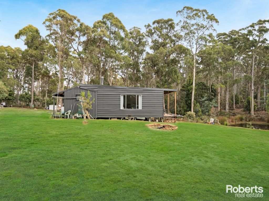 1430 GOLCONDA RD, WYENA, TAS 7254