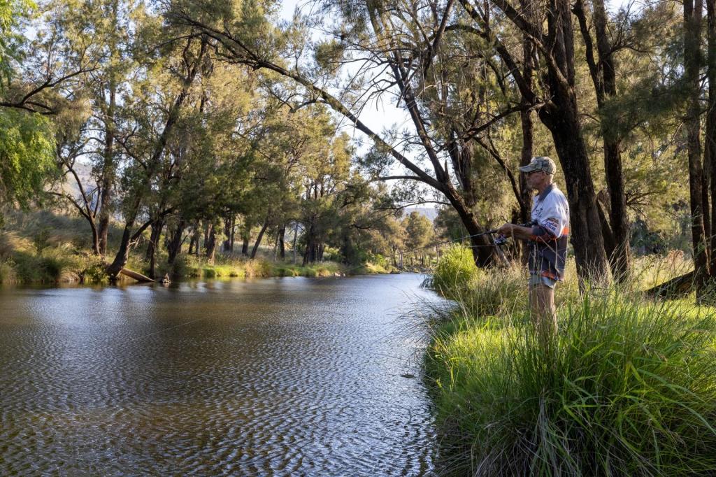 643 Silvermines Rd, Elsmore, NSW 2360