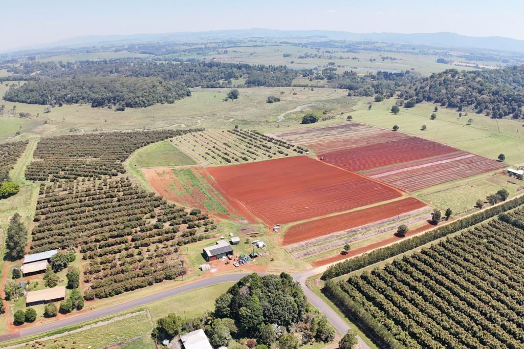 767 Peeramon Rd, Peeramon, QLD 4885