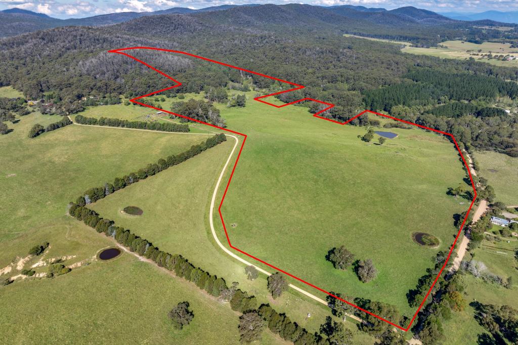 65 Sawyers Ridge Rd, Reidsdale, NSW 2622