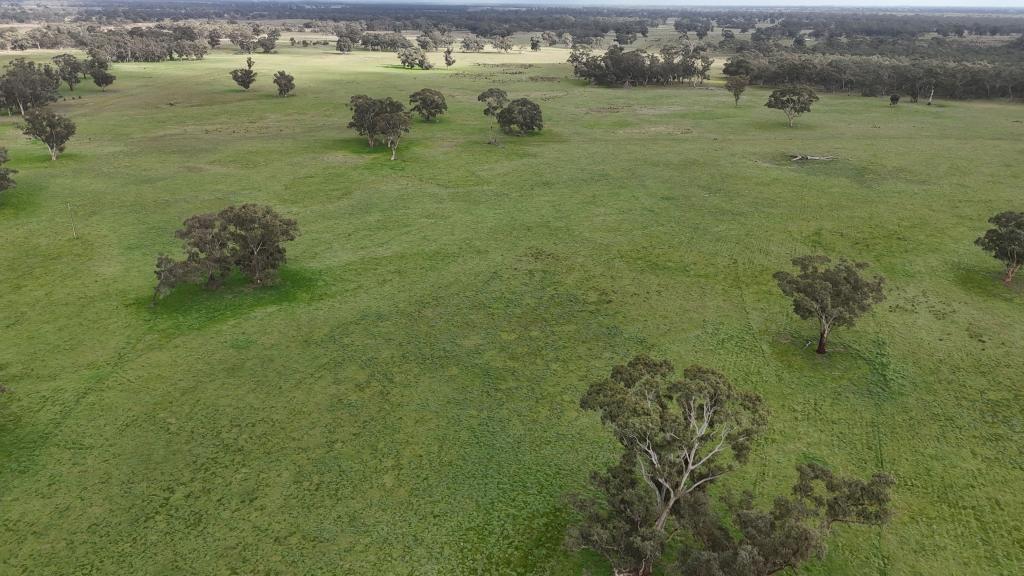 Lot 1 Bangham Rd, Bangham, SA 5268