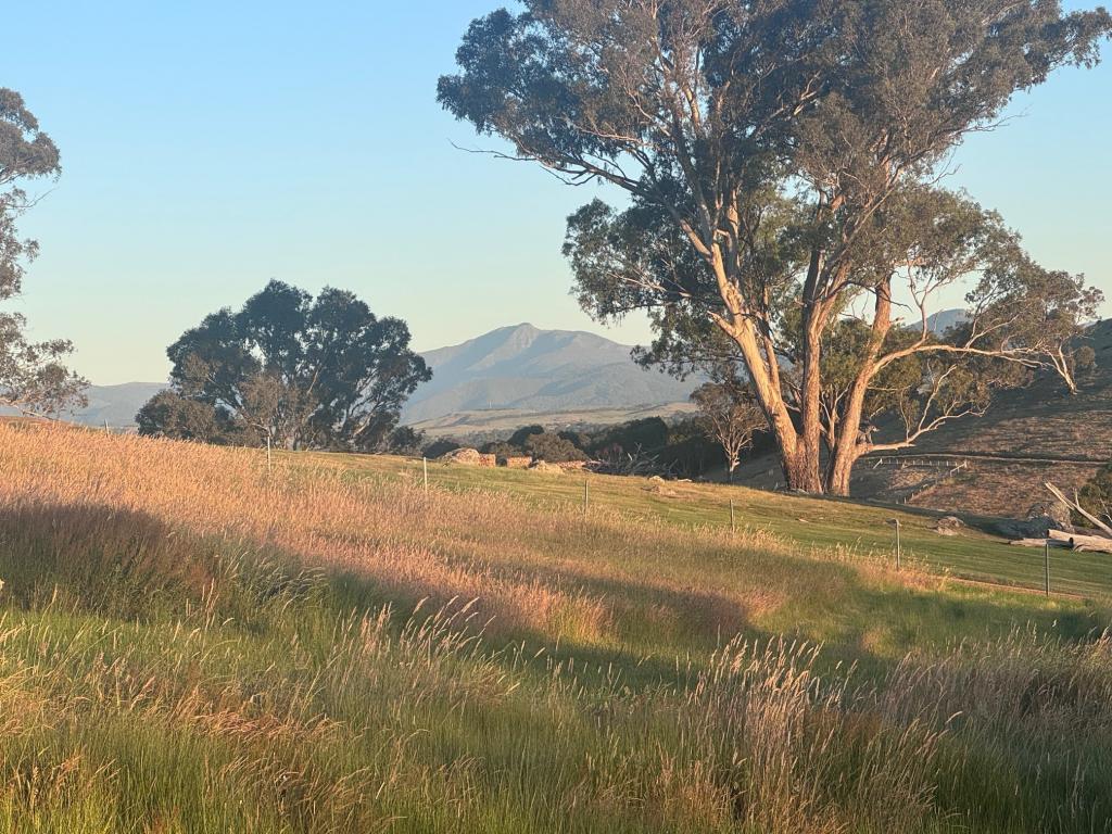 10 Range View Ct, Mansfield, VIC 3722