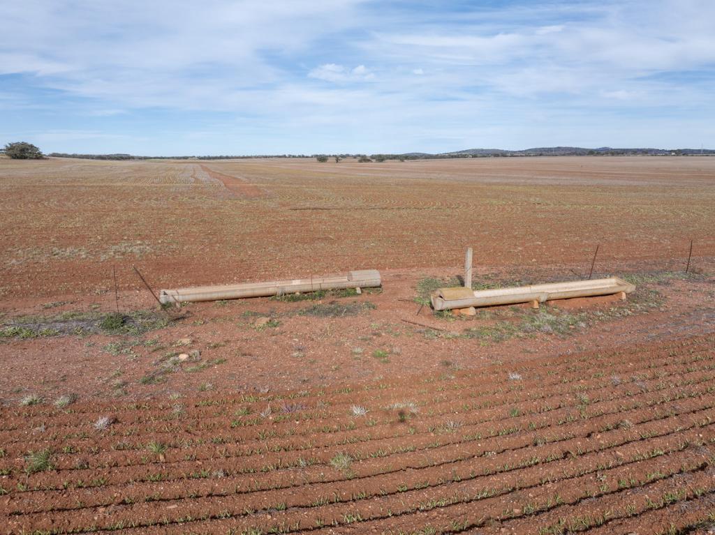 Lot 305 Goyder Rd, Neales Flat, SA 5374