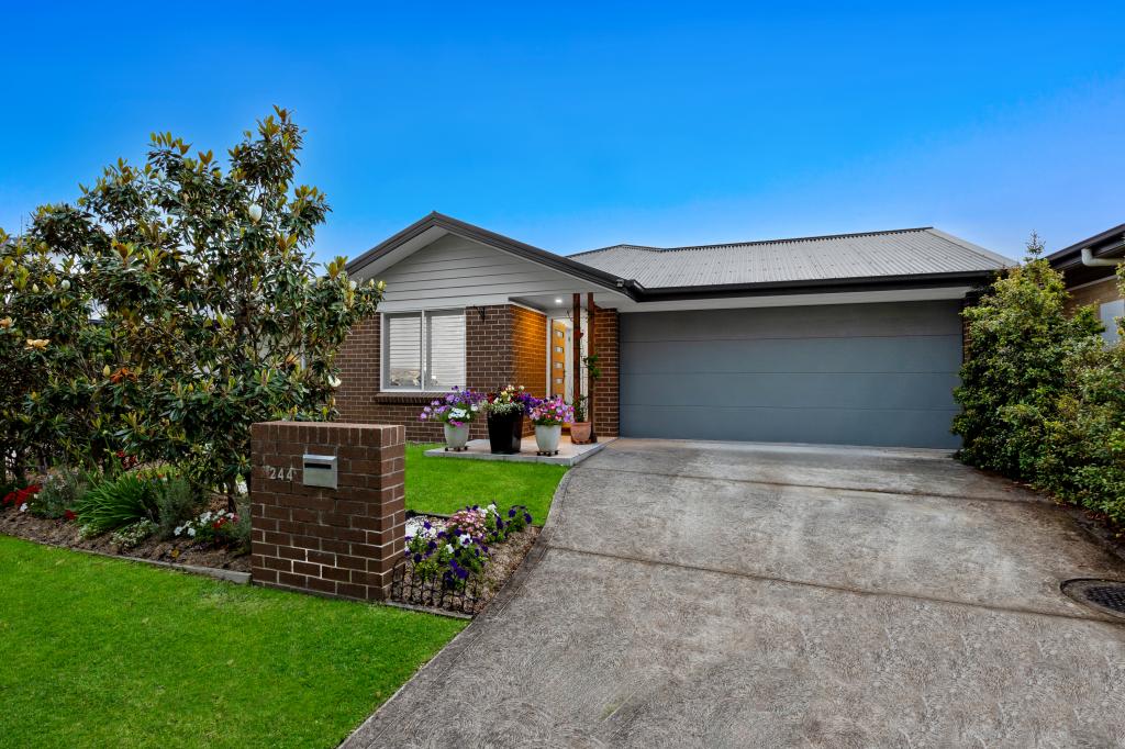 244 FISHERMANS DR, TERALBA, NSW 2284