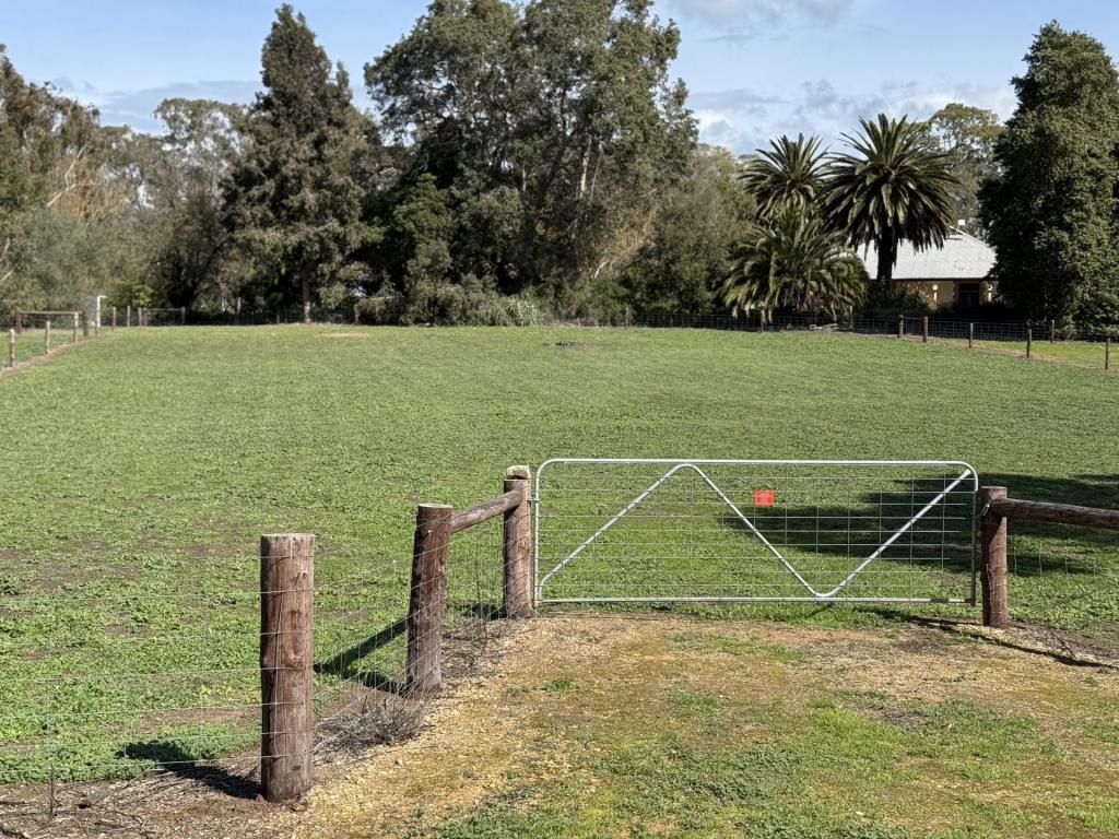 22a Stewart Tce, Naracoorte, SA 5271