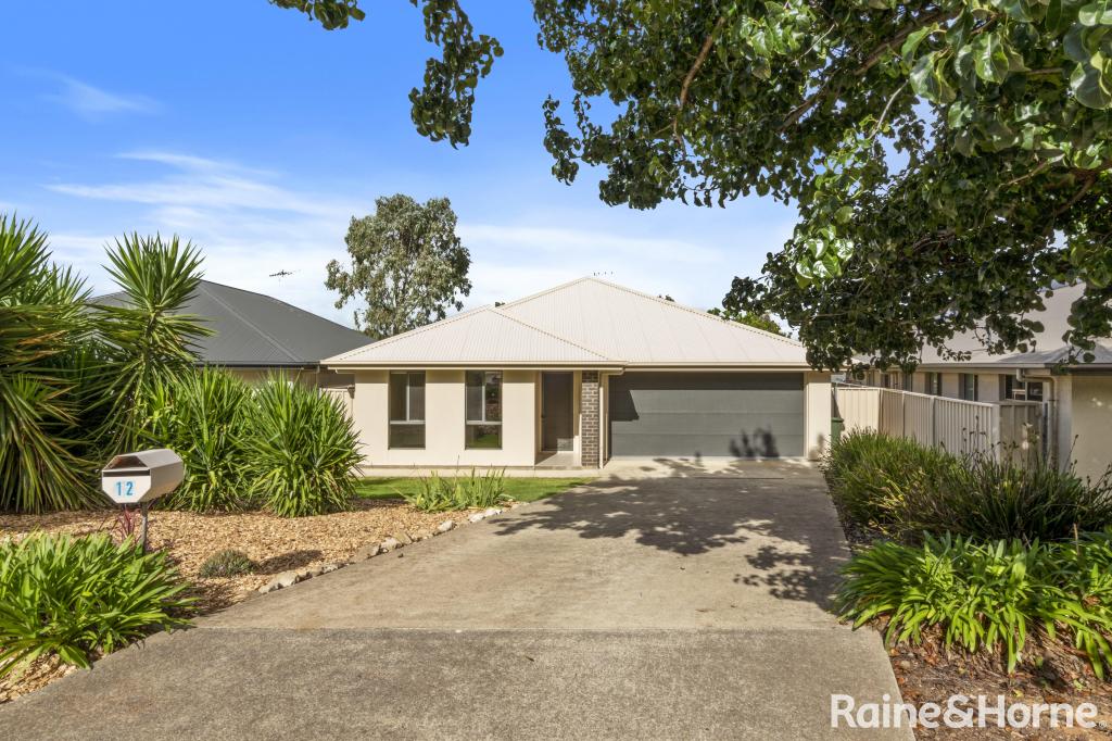 12 Dundee Cl, Strathalbyn, SA 5255