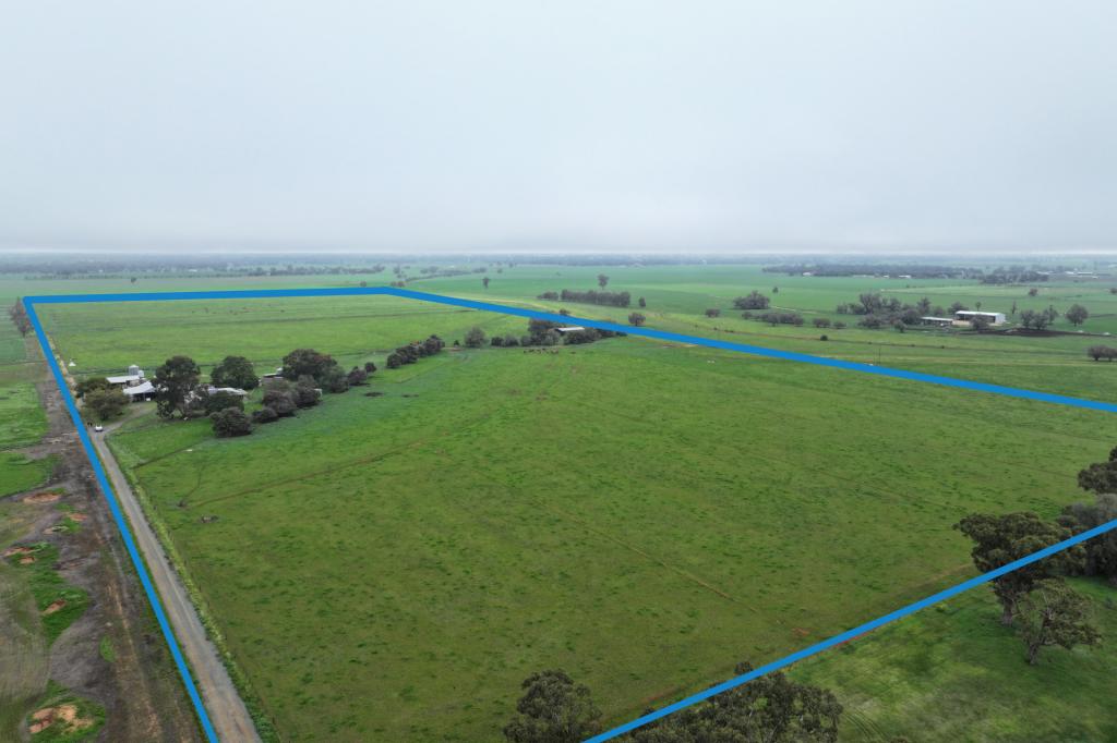 121 DINGEE RD, ROCHESTER, VIC 3561