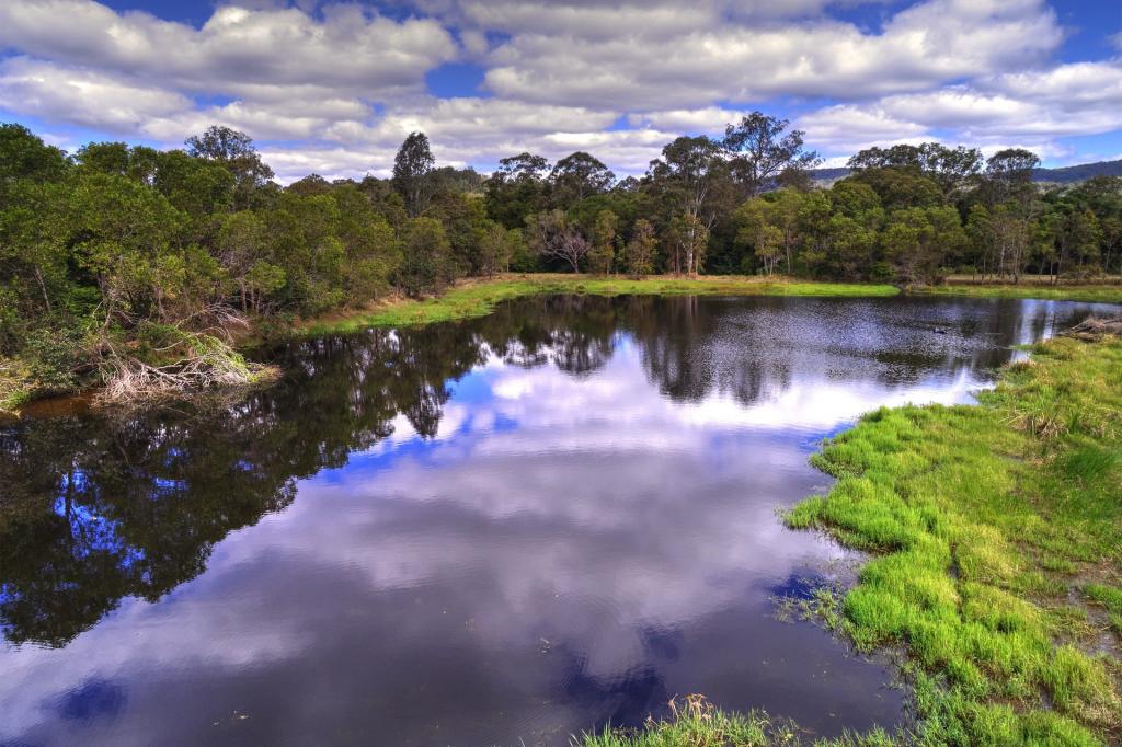 163 Cedar Creek Rd, Belli Park, QLD 4562