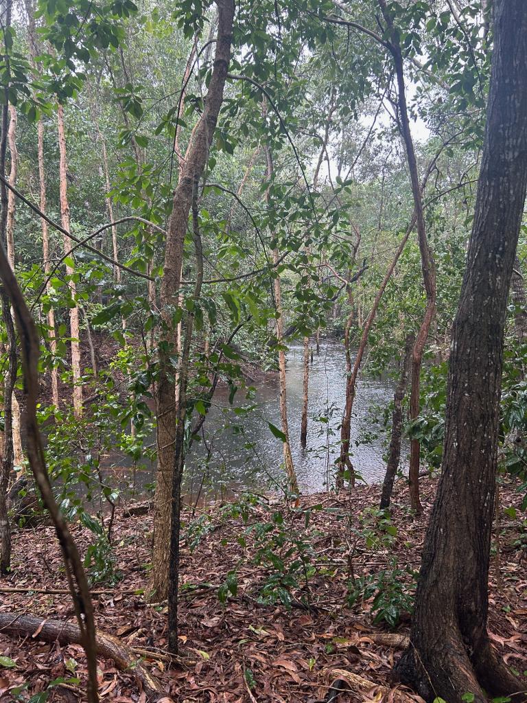 21 Marege Dr, Dundee Beach, NT 0840