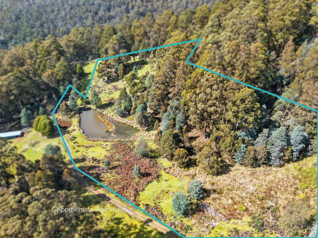 Contact Agent For Address, Lucaston, TAS 7109