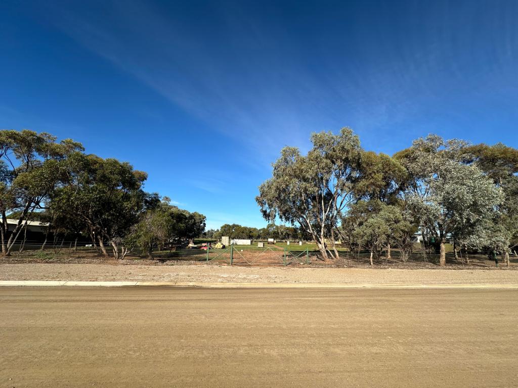 8 ELLIOTT ST, QUORN, SA 5433