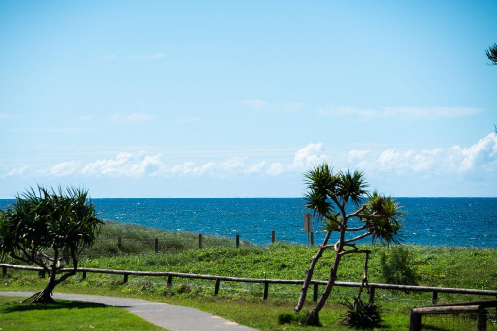 36 Pacific Bvd, Buddina, QLD 4575