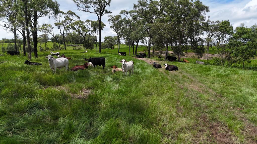 Lot 3 Marion Settlement Rd, Ilbilbie, QLD 4738