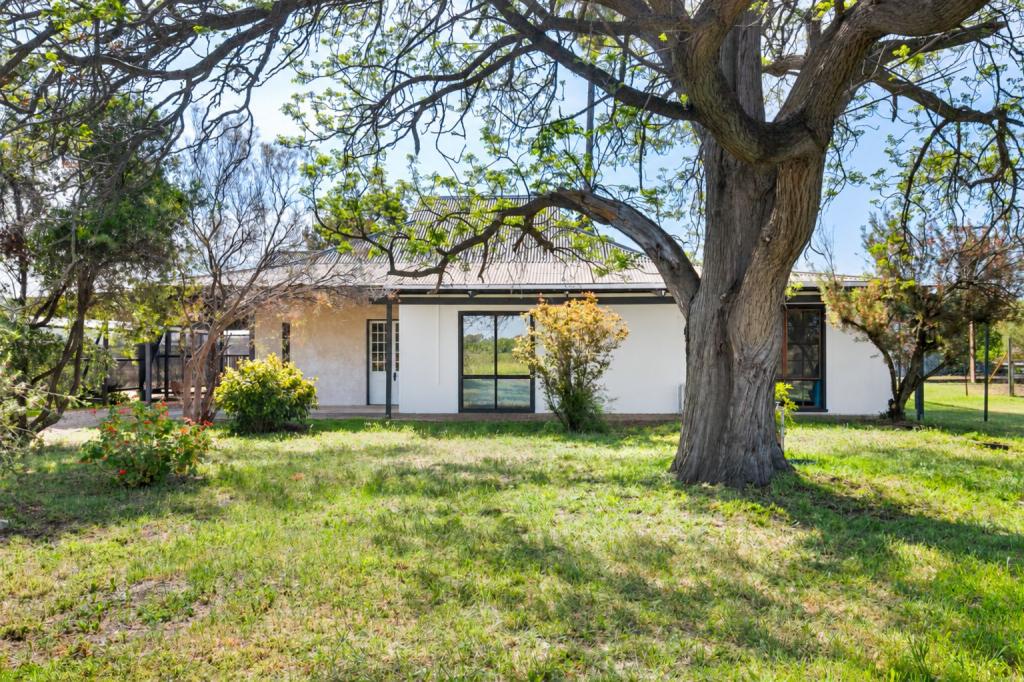 197 Culgoa St, Renmark North, SA 5341