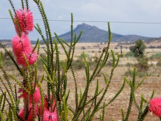 68 Freebairn Rd, Quorn, SA 5433