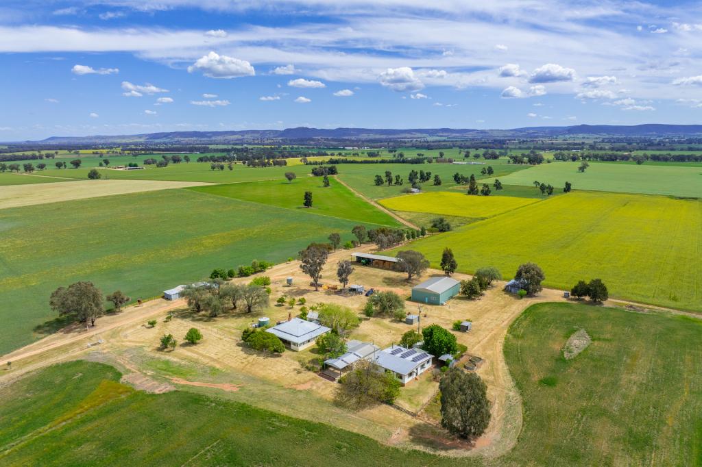 104 SELECTION RD, COWRA, NSW 2794