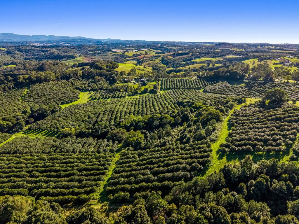 256 Kirklands Lane, Fernleigh, NSW 2479