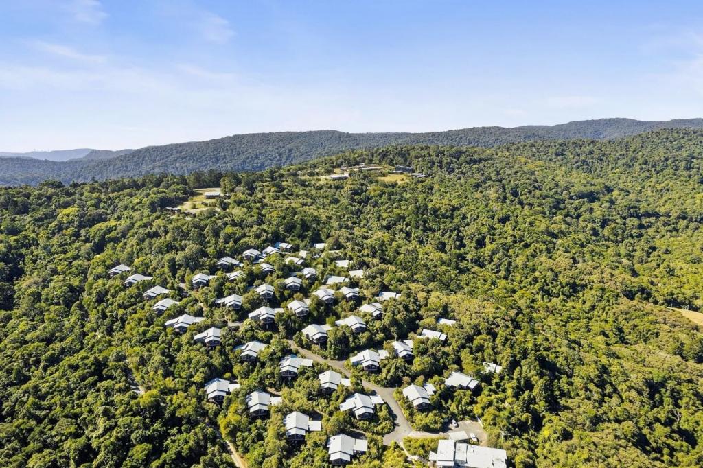 4/3544 Lamington National Park Rd, O'Reilly, QLD 4275