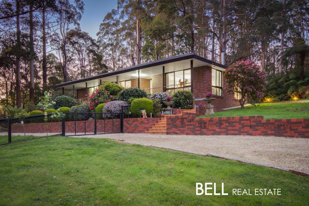 13 MILLS AVE, SASSAFRAS, VIC 3787