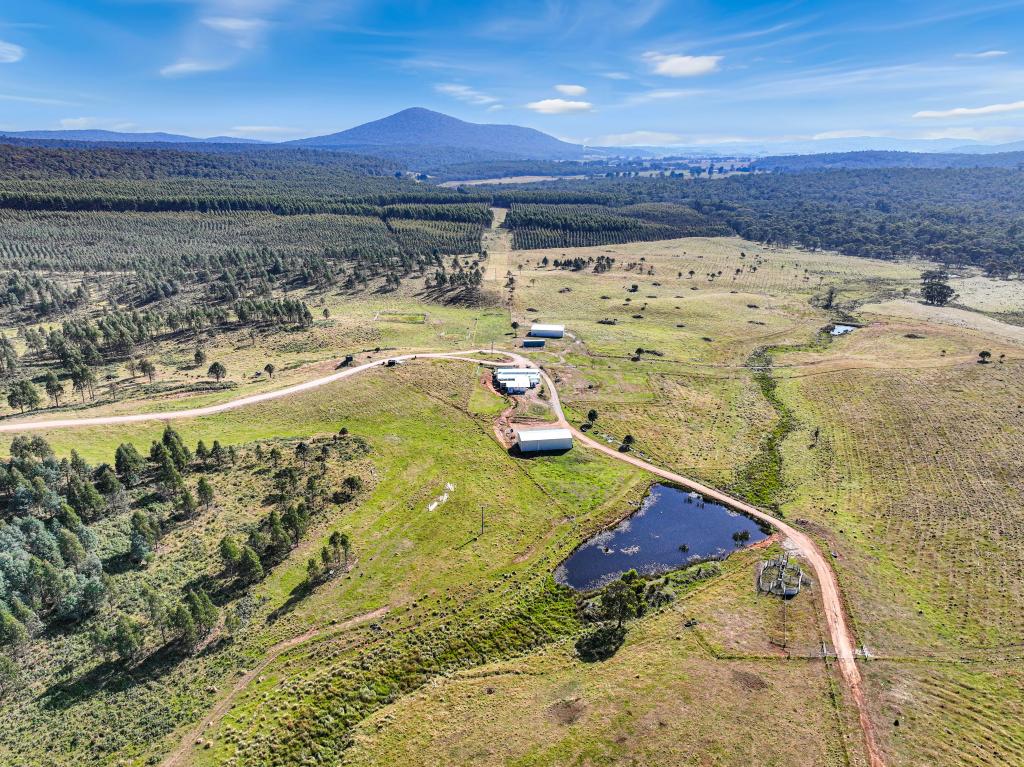 1458 Bendoc-Orbost Rd, Bendoc, VIC 3888