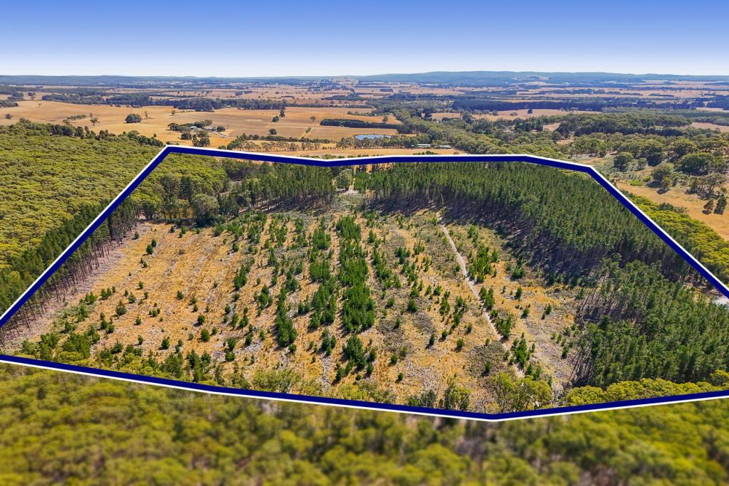Lot 1 Llandeilo Lane, Ballan, VIC 3342
