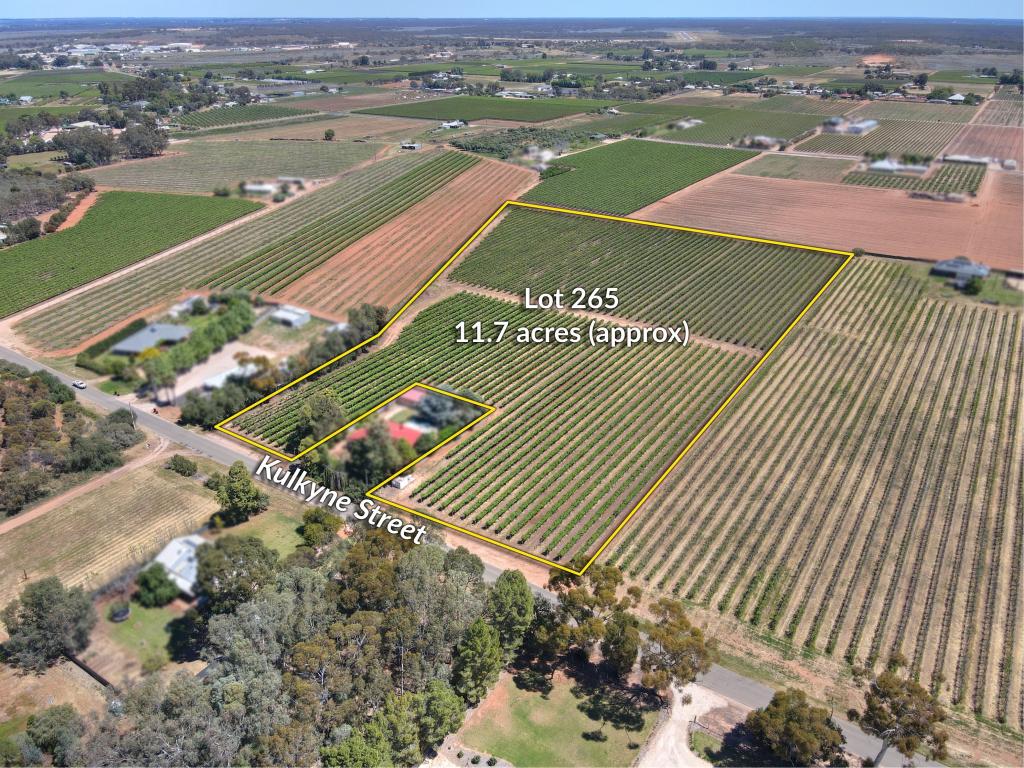 LOT 265 KULKYNE ST, RENMARK, SA 5341