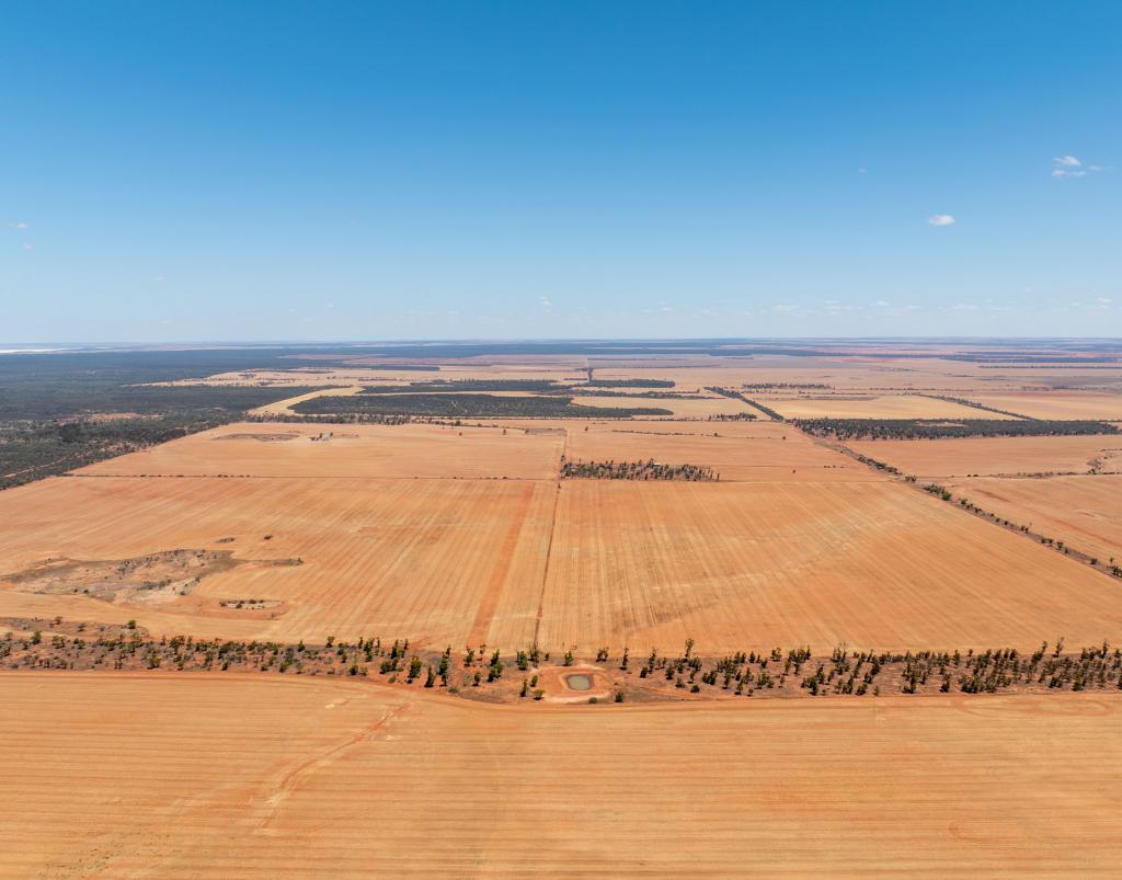 Bullfinch Aggregation, Bullfinch-Evanston Rd, Bullfinch, WA 6484