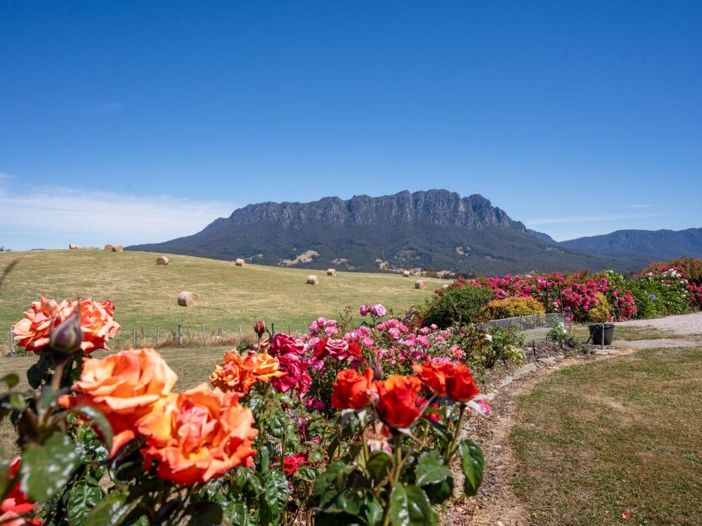 123 Careys Rd, West Kentish, TAS 7306