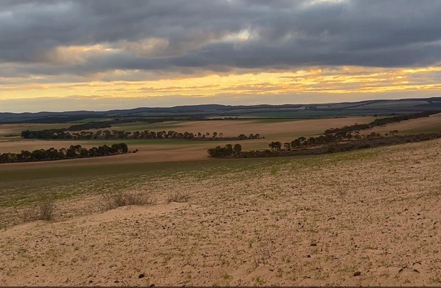 Section 1 & Section 15 Glynn Rd, Minbrie, SA 5602