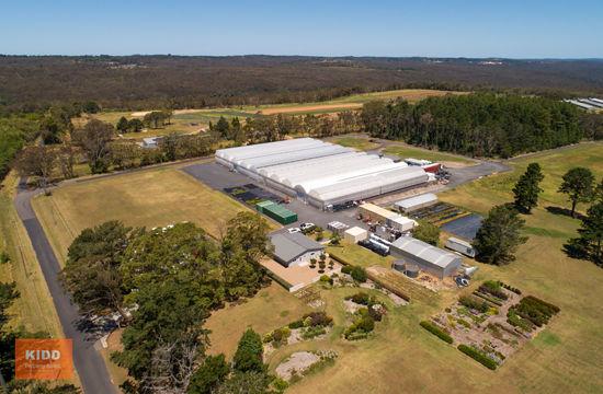Contact Agent For Address, Peats Ridge, NSW 2250