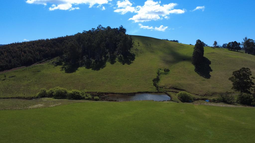 LOT 1 DAWKINS RD, LOWER BEULAH, TAS 7306