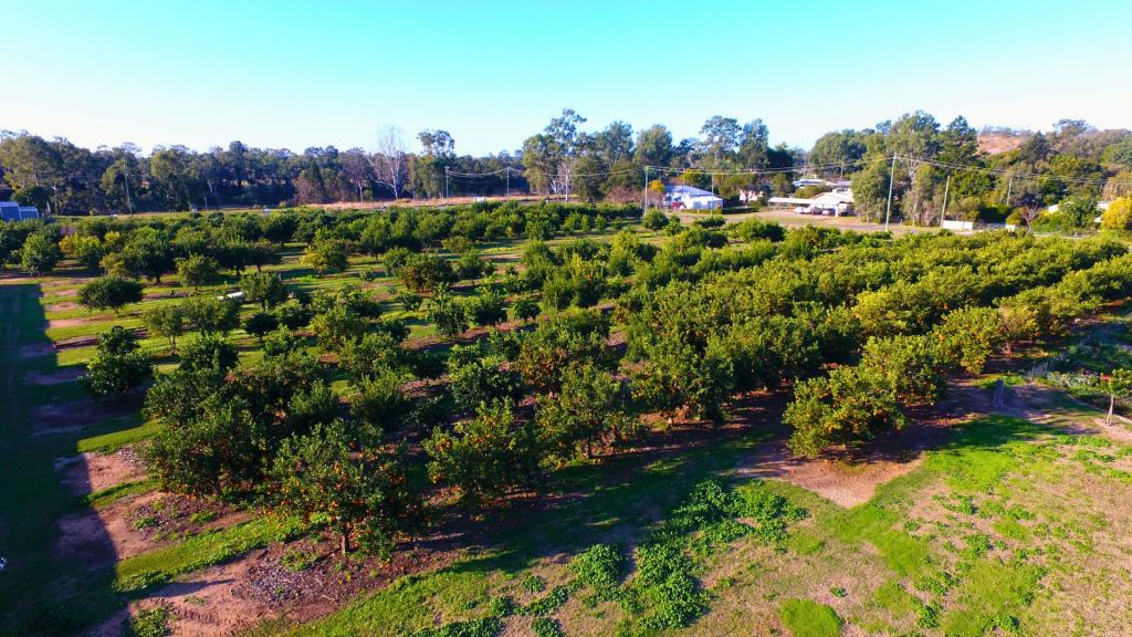 L14 WINIFRED COBBO ST, GAYNDAH, QLD 4625