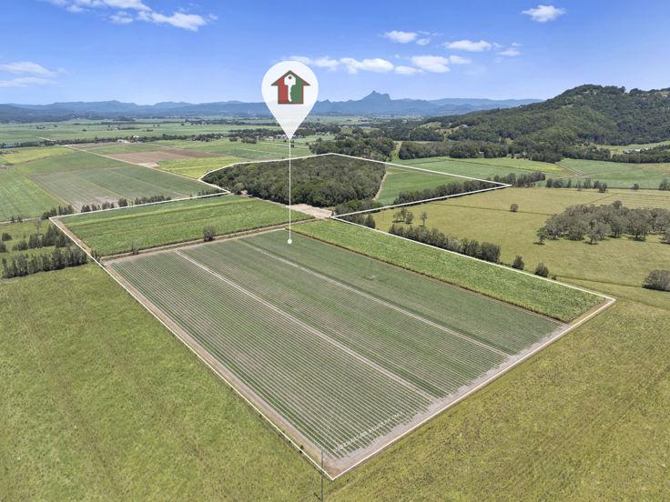 Mcauleys Rd, Murwillumbah, NSW 2484