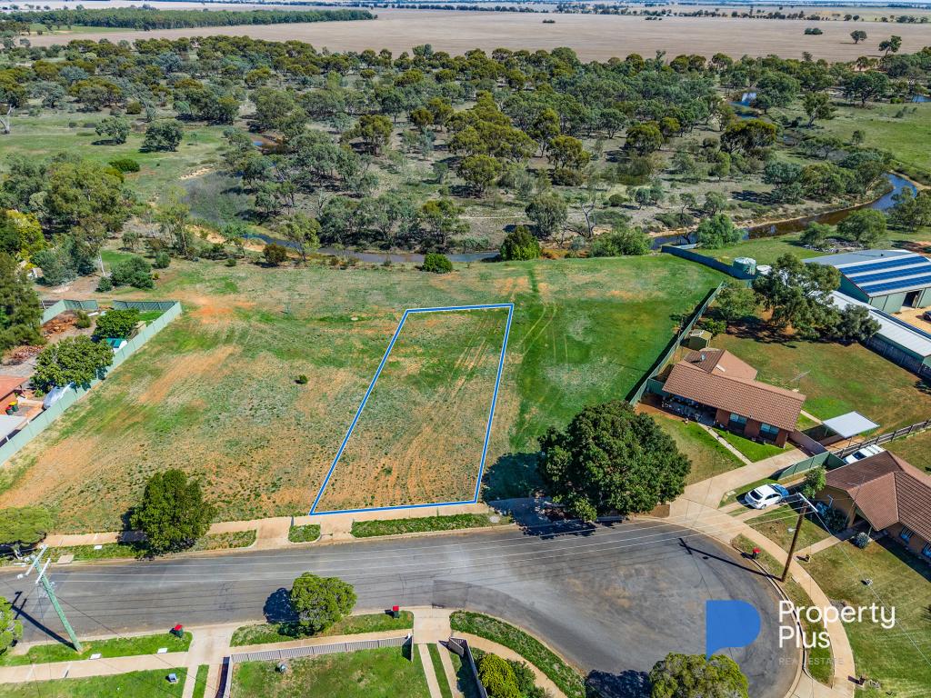 9 Ray Ct, Donald, VIC 3480