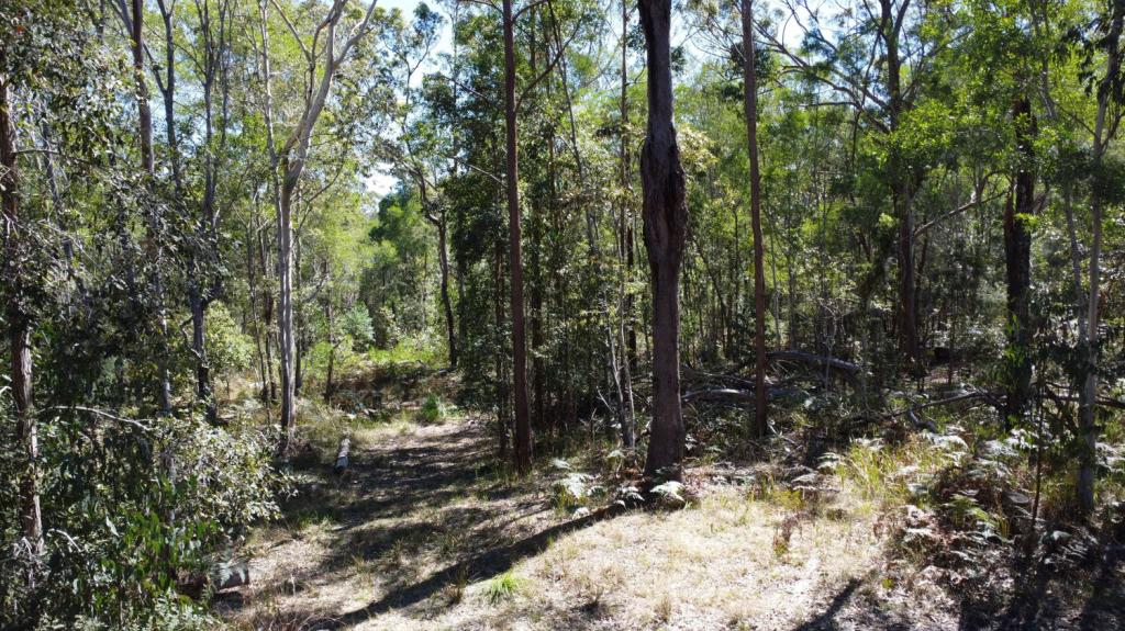 Candido Rise, New Italy, NSW 2472