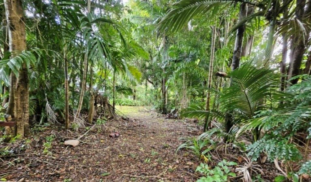 183 HIGH CENTRAL RD, MACLEAY ISLAND, QLD 4184