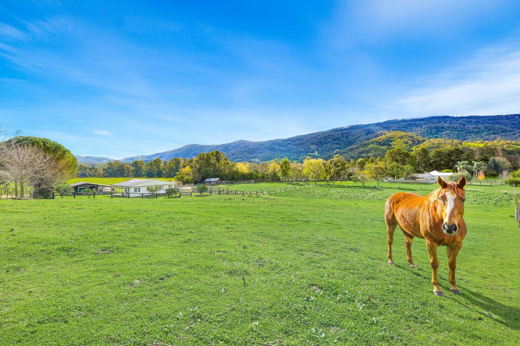 LOT 8/150 HAYDON ST, MURRURUNDI, NSW 2338