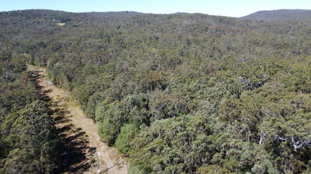 Candido Rise, New Italy, NSW 2472