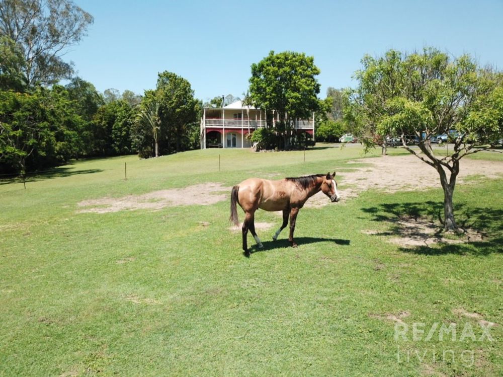 1587 MALENY-KENILWORTH RD, CONONDALE, QLD 4552