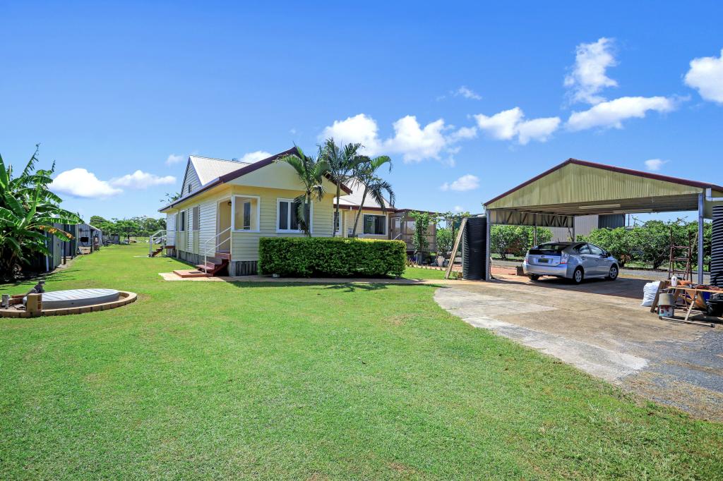 16 Black Beauty Ct, Kensington, QLD 4670