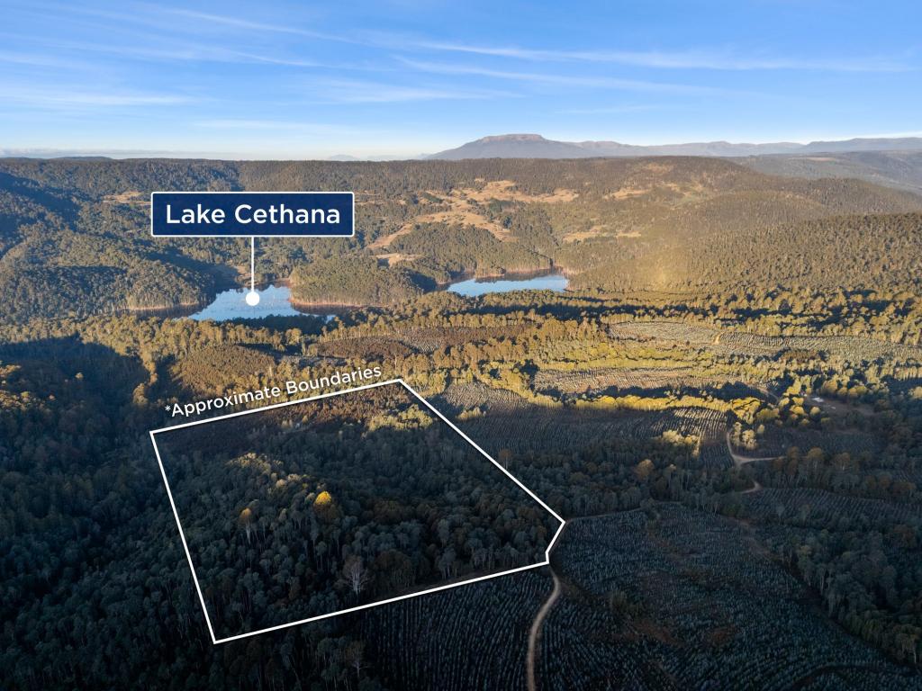 Dolcoath Road, Moina, TAS 7310