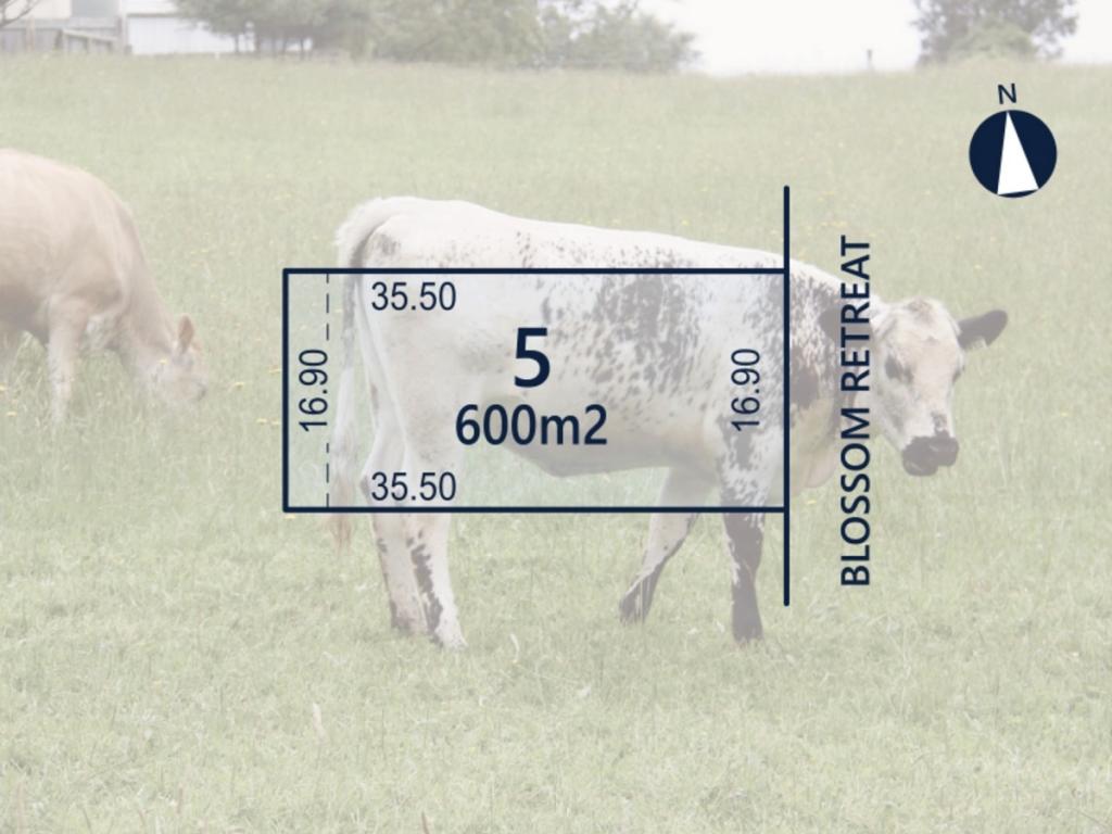 5 Blossom Rtt, Neerim South, VIC 3831