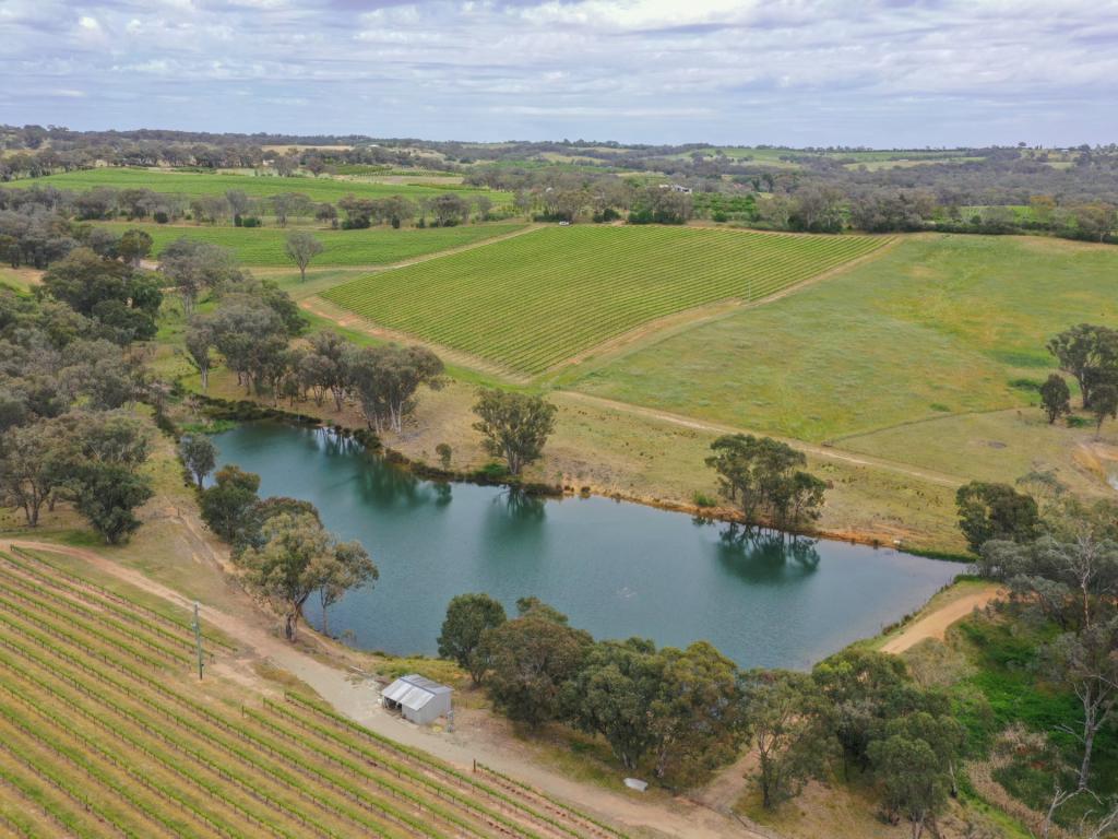 155 Tierneys Rd, Young, NSW 2594